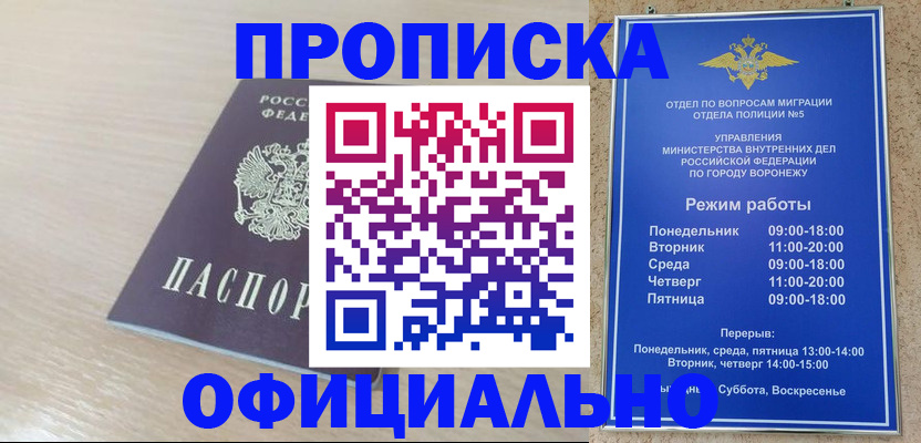 прописка в квартире в Мытищах